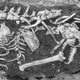 Image for article titled This mysterious cave was a deathtrap for thousands of years